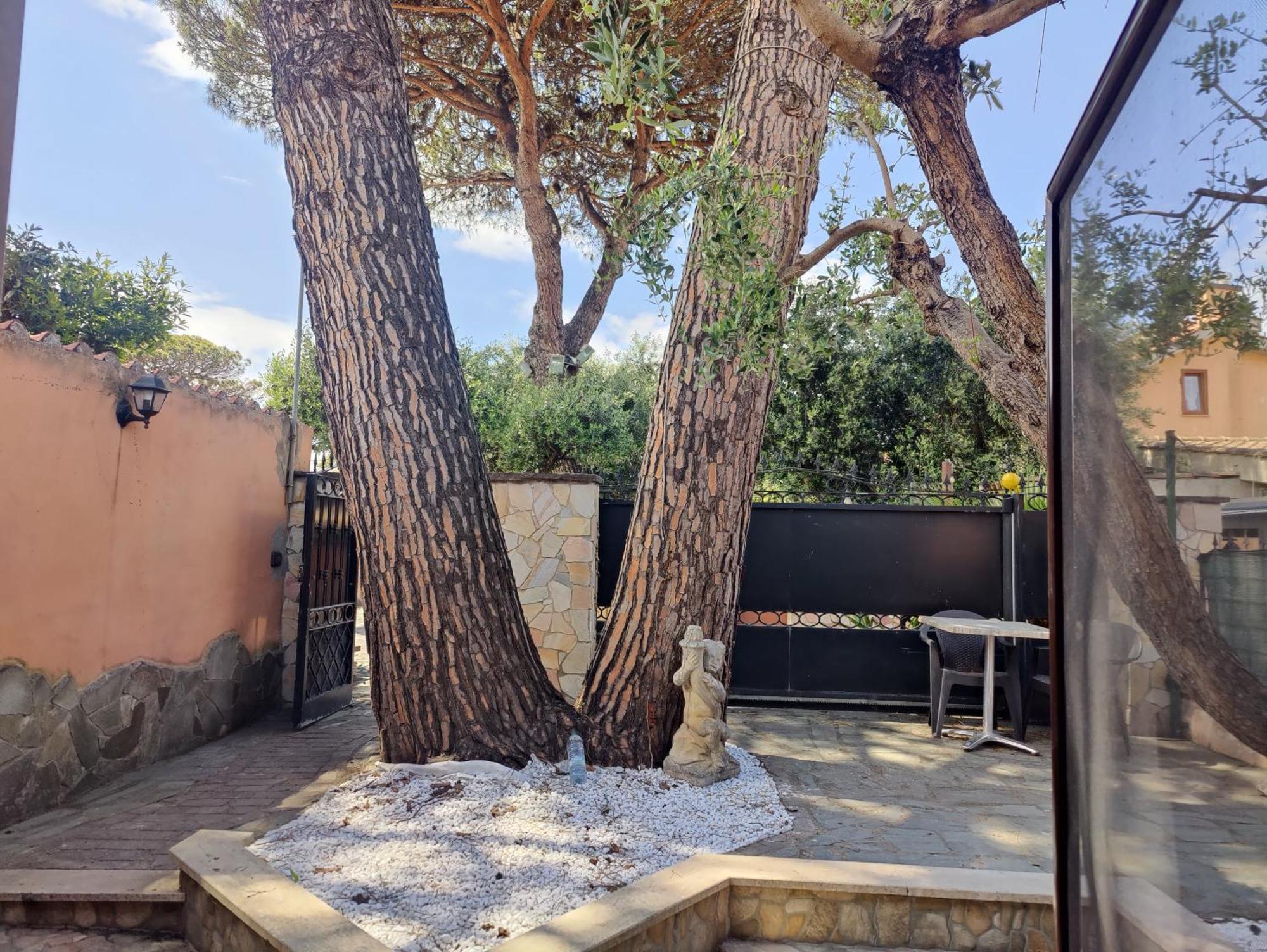 Sunrise Home Φιουμιτσίνο Εξωτερικό φωτογραφία